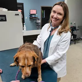 Bild von Stones River Veterinary Hospital