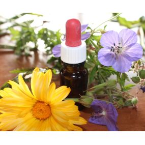 Homeopathie bij BeleefBalans – bevorder je gezondheid