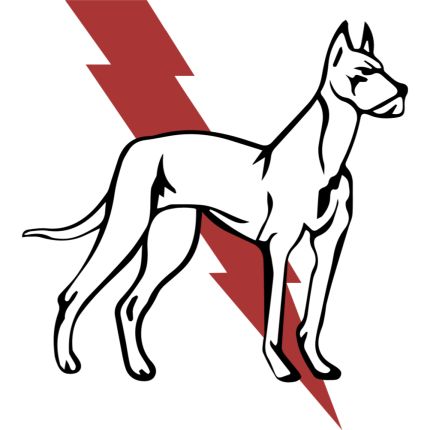 Logo van Dane Electric
