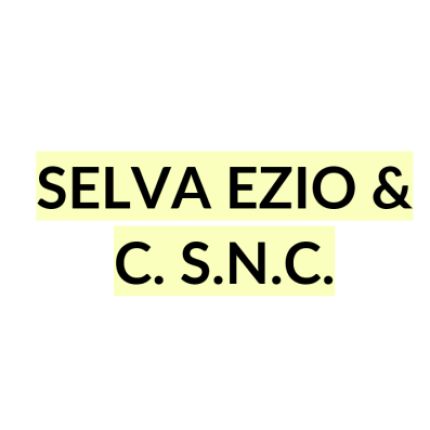 Logo von Selva Ezio & C. S.n.c.