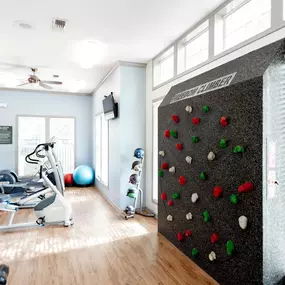 Fitness Wall