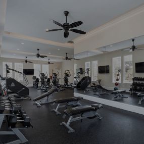 Fitness Area