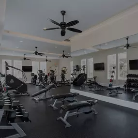 Fitness Area