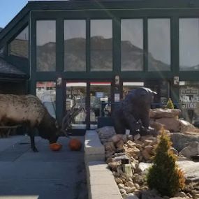 Bild von The Country Market of Estes Park