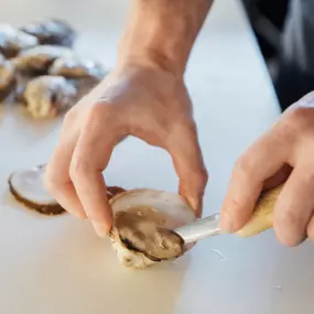 Shucking oysters