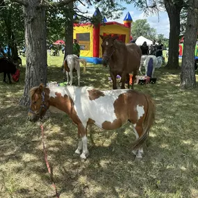 Another year at Picnic in the Park! Wish I could have taken the baby goat home.