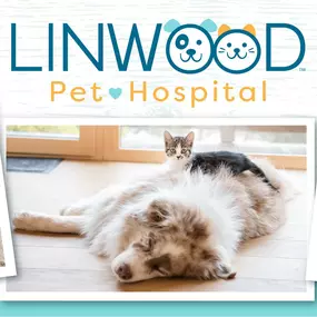 Bild von Linwood Pet Hospital