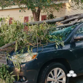 Bad news: a tree damaged your car. ????
Good news: I can help you file your claim.