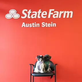 Bild von Austin Stein - State Farm Insurance Agent