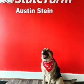 Bild von Austin Stein - State Farm Insurance Agent