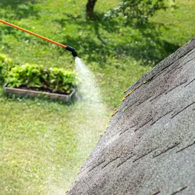 Soft pressure washing to eliminate Gloeocapsa Magma