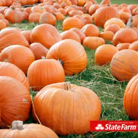 Don't let a pumpkin mishap scare you this October! Stay safe and spooky this fall! ????????