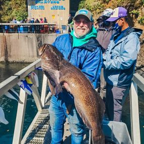 Bild von Tradewinds Charters - Whale Watching & Fishing – Oregon