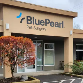 Bild von BluePearl Pet Surgery