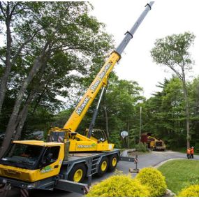 Bild von KD Tree Service Rochester NY