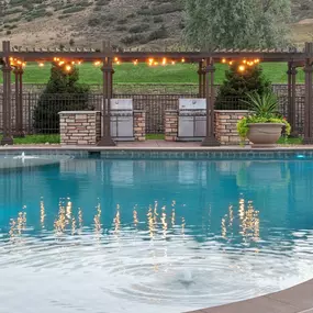 Outdoor Grilling Area with Al Fresco Dining