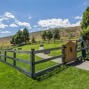 Off-Leash Dog Park