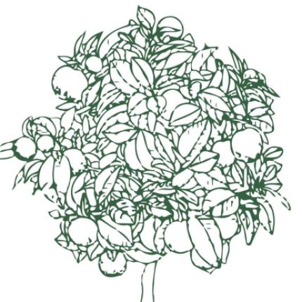 Logo van Il Giardino delle Esperidi