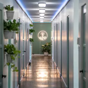 Interior hallway with soft lighting, potted plants, and doors leading to therapist and administrative offices.