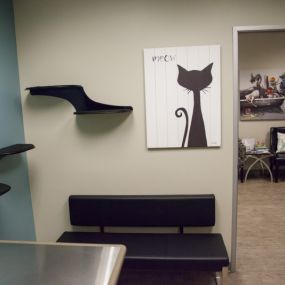 Bild von Animal Medical Center of Chandler