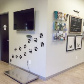 Bild von Animal Medical Center of Chandler