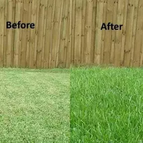 Bild von Matt's Plowing and Lawn Care