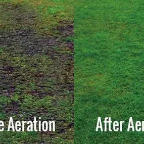 Bild von Matt's Plowing and Lawn Care