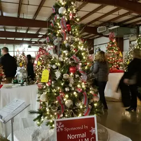 We had a wonderful time at the 2019 Festival of Trees!  Thank you so much to the Normal Calvary U.M.C for their generous donation to The Baby Fold and for choosing our tree to showcase their sponsorship. We hope that everyone as a wonderful and safe holiday season!