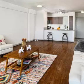 Living Room With Kitchen View