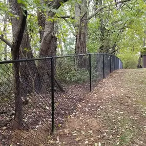 Black chain link fence