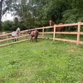 split rail Ag fence