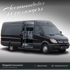 14 Passenger Sprinter Van