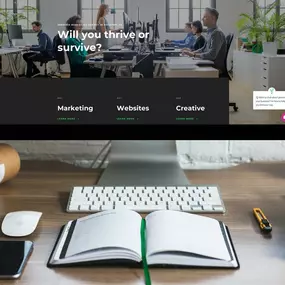 Bild von Reap and Sow Marketing