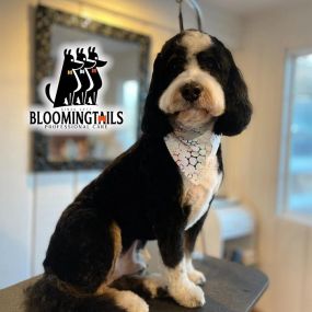 Bild von Bloomingtails Pet Grooming LLC
