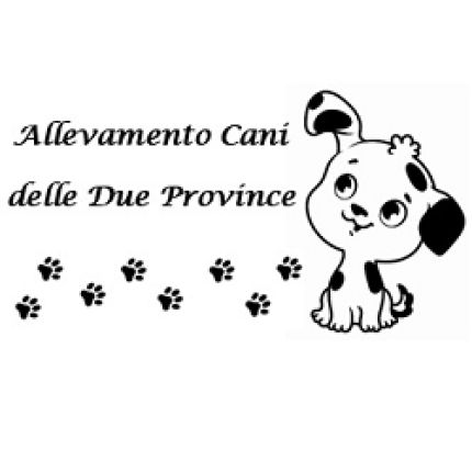 Logo de Allevamento Cani Delle Due Province