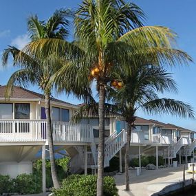 This Gulf Coast resort features Topsider’s iconic pedestal homes, engineered to be hurricane-resistant and elevated to protect them from flooding caused by storm surge.