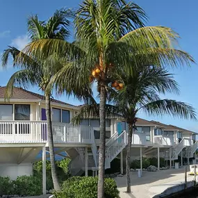 This Gulf Coast resort features Topsider’s iconic pedestal homes, engineered to be hurricane-resistant and elevated to protect them from flooding caused by storm surge.