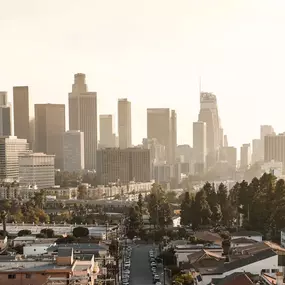 Bild von Metropolitan Shuttle - Charter Bus Los Angeles