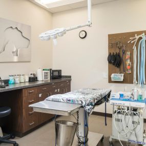 Dental Room