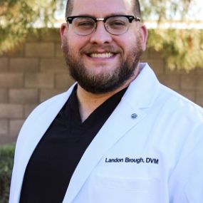 Dr. Landon Brough