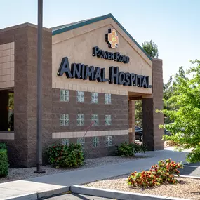 Power Road Animal Hospital