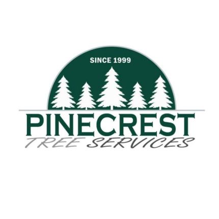 Logo from Pine Tree Services