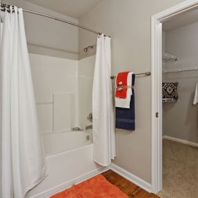 Bathroom and Walk-in Closet