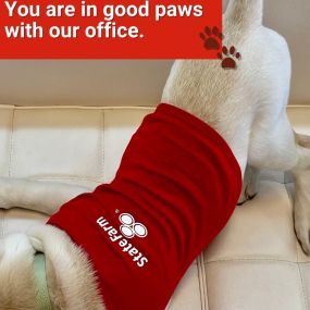 You are in good paws with our office - call us for a FREE quote!