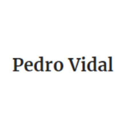 Logotyp från Pedro Vidal Colección