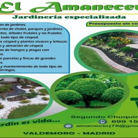 Jardineria_Amanecer_Valdemoro_Portada.jpg