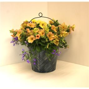 These stylish pails are hand painted with a feathered look finish. This versatile design can be used setting or hanging due to a special twist detail in the handle. Filled with beautiful monoculture and mixed annuals.