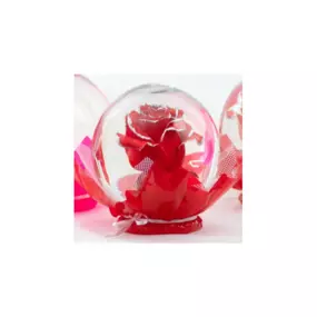 Surprise the ones you love with our new rose globe gift! It's soo gorgeous 100% real rose that looks so beautiful in a glass globe. Pair it with chocolate or a teddy bear to make it extra special. *color of rose will vary