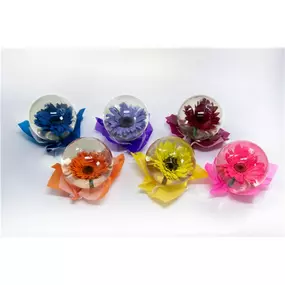 **NEW** Surprise the ones you love with our Gerbera Daisy Globes! It's soo gorgeous 100% real orchid that looks so beautiful in a glass globe. Pair it with chocolate or a teddy bear to make it extra special.
