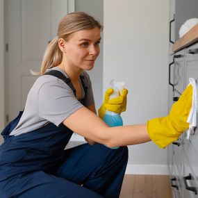 House Cleaning Services